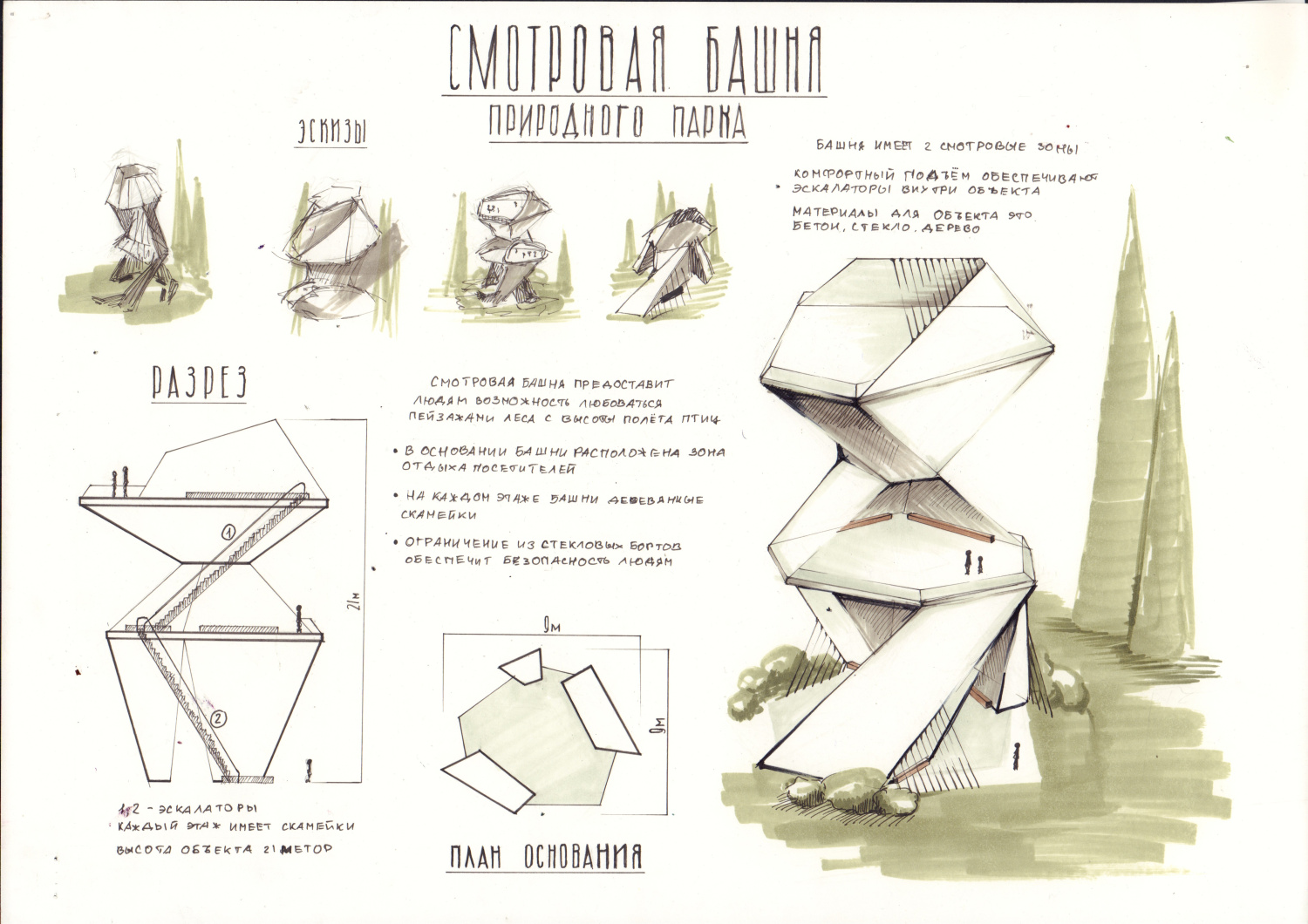 Уфимцева Аполлинария Евгеньевна