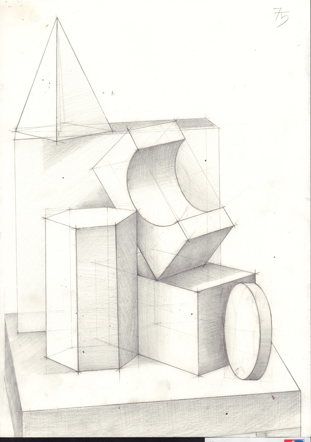 Марьина Софья Андреевна